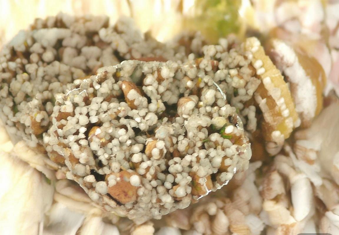 2023年国家德比：巴萨皇马巅峰对决前瞻解析(图2)